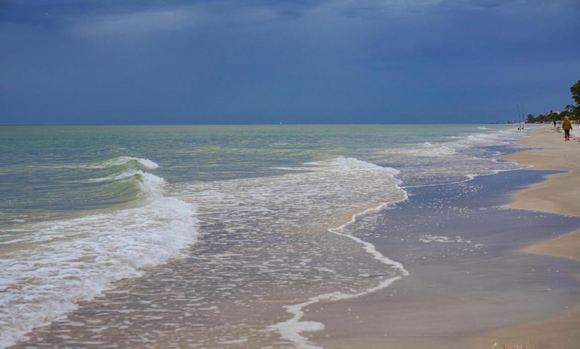 Guest Suite - Waterfront -Pool & Hot Tub- Walk To Beach Clearwater Beach Exteriör bild