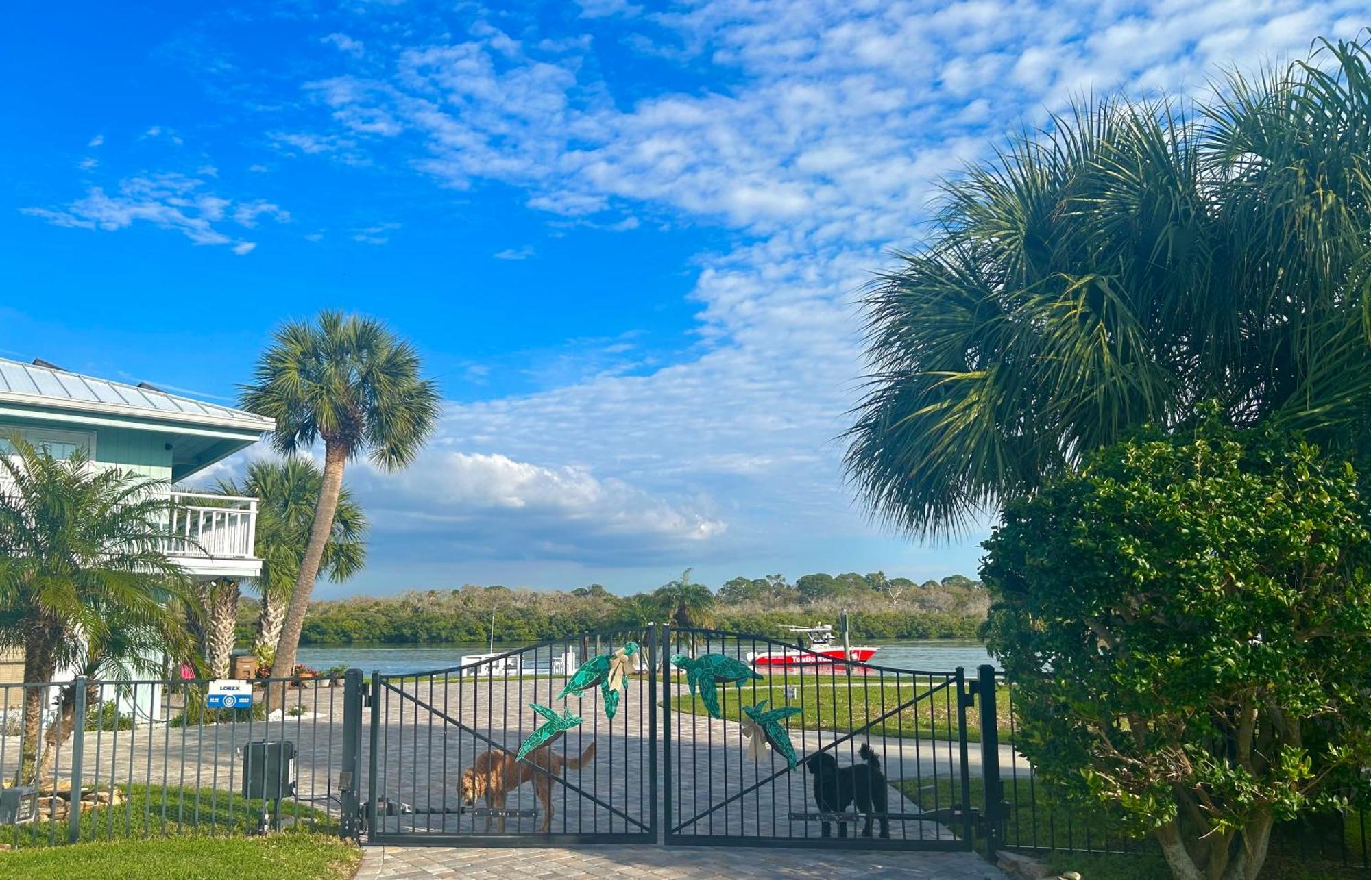 Guest Suite - Waterfront -Pool & Hot Tub- Walk To Beach Clearwater Beach Exteriör bild
